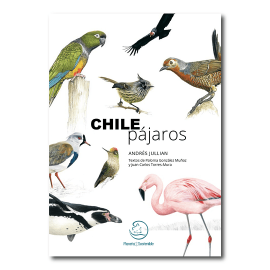 Chile Pájaros