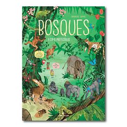 Bosques… y cómo protegerlos