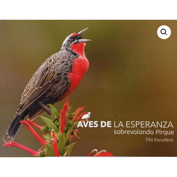 Aves De La Esperanza