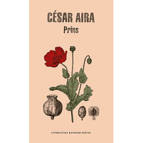 Prins (Cesar Aira)