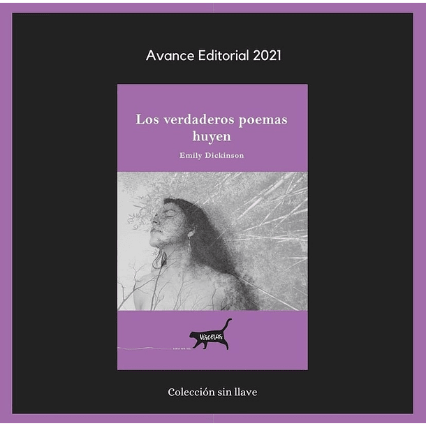 Verdaderos Poemas Huyen, Los (Colección Plaquettes) [Poe]