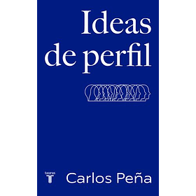 Ideas De Perfil