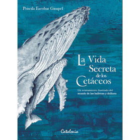 La Vida Secreta De Los Cetaceos (Td)