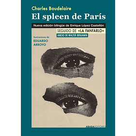 El Spleen De Paris