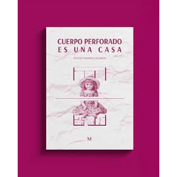 Cuerpo Perforado Es Una Casa