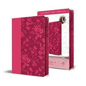 Biblia Reina Valera 1960 Letra Grande Fucsia Con Cierre