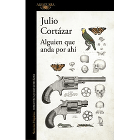 Alguien Que Anda Por Ahi