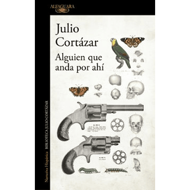 Alguien Que Anda Por Ahi