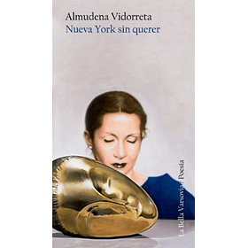 Nueva York Sin Querer