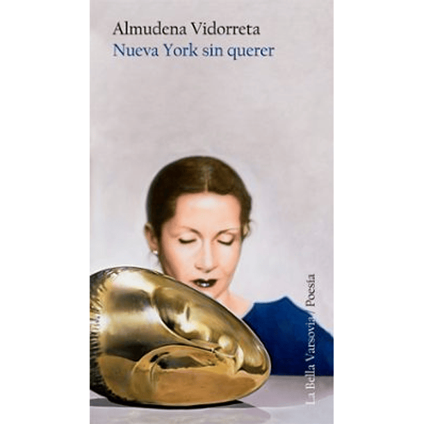 Nueva York Sin Querer