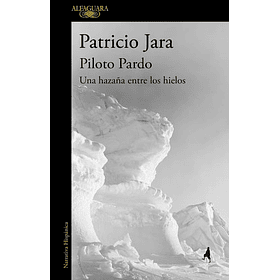 Piloto Pardo: Una Hazaña Entre Los Hielos