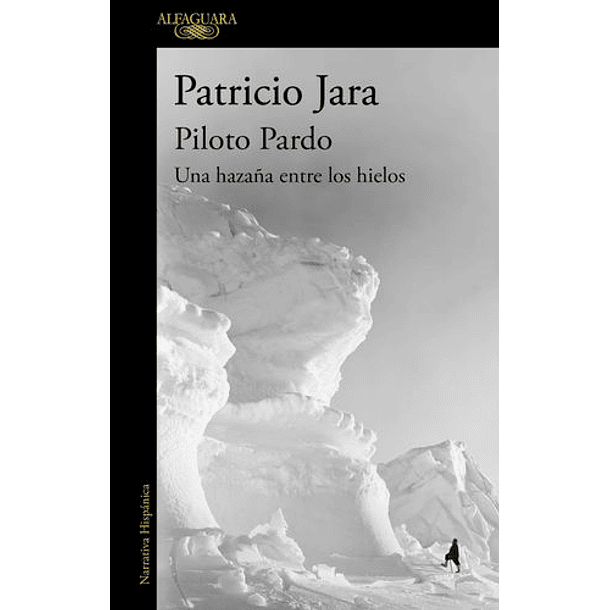 Piloto Pardo: Una Hazaña Entre Los Hielos