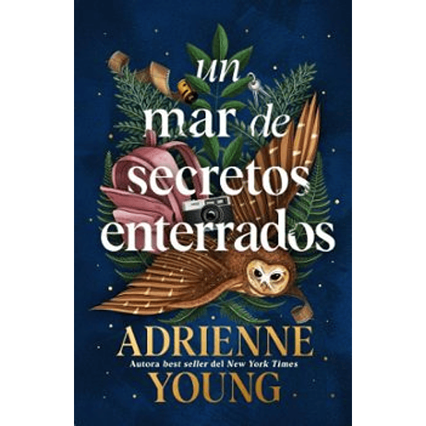 Un Mar De Secretos Enterrados