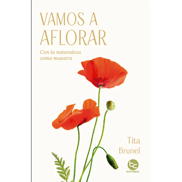 Vamos A Aflorar