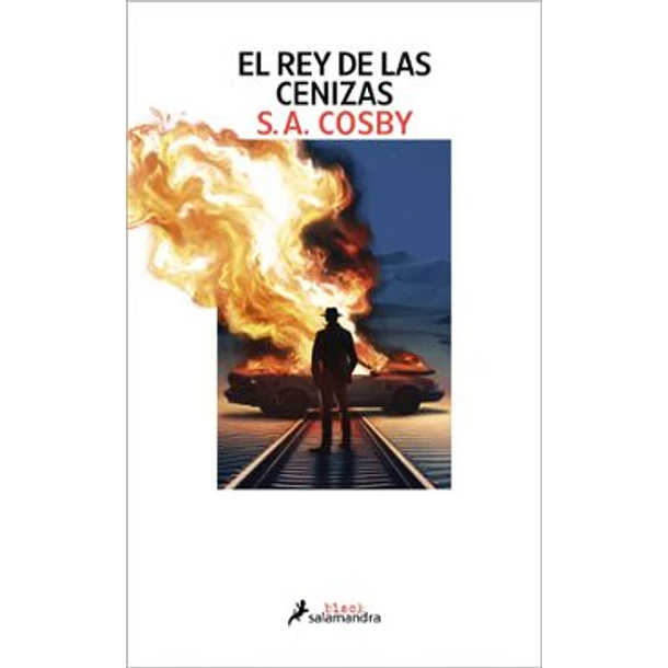 El Rey De Las Cenizas