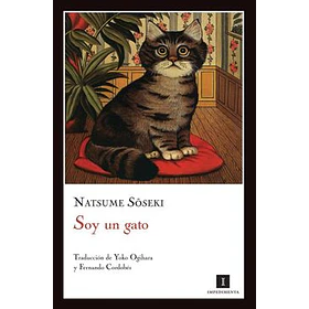 Soy Un Gato