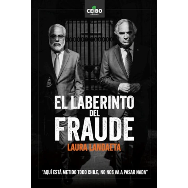 El Labertinto Del Fraude
