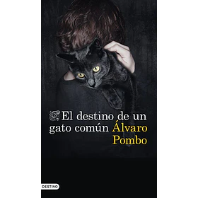 El Destino De Un Gato Comun