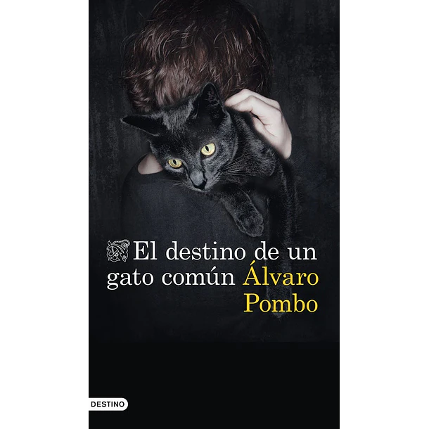 El Destino De Un Gato Comun