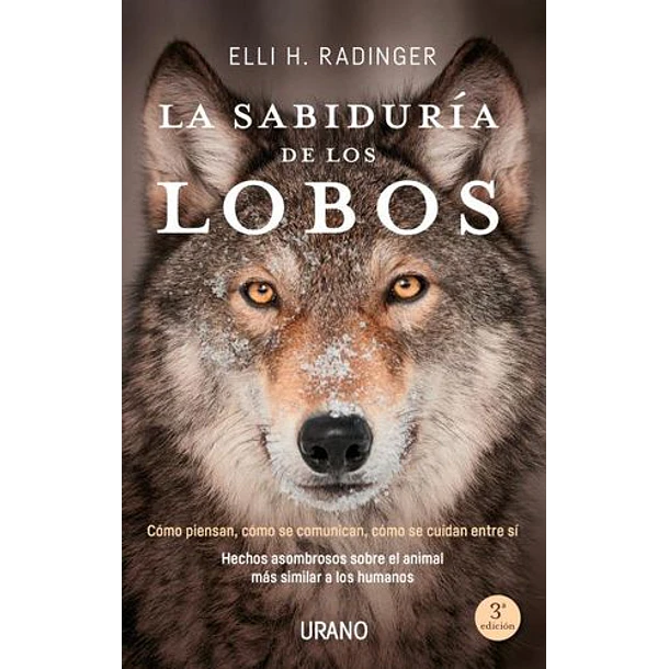 Sabiduria De Los Lobos, La (Chi) [Aut]