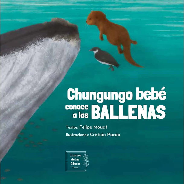 Chungungo Bebe Conoce A Las Ballenas