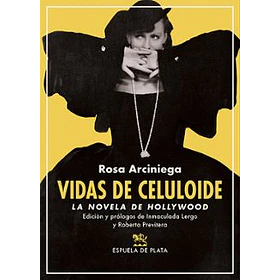 Vidas De Celuloide: La Novela De Hollywood