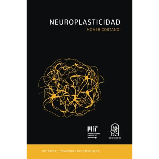 Neuroplasticidad [Div]