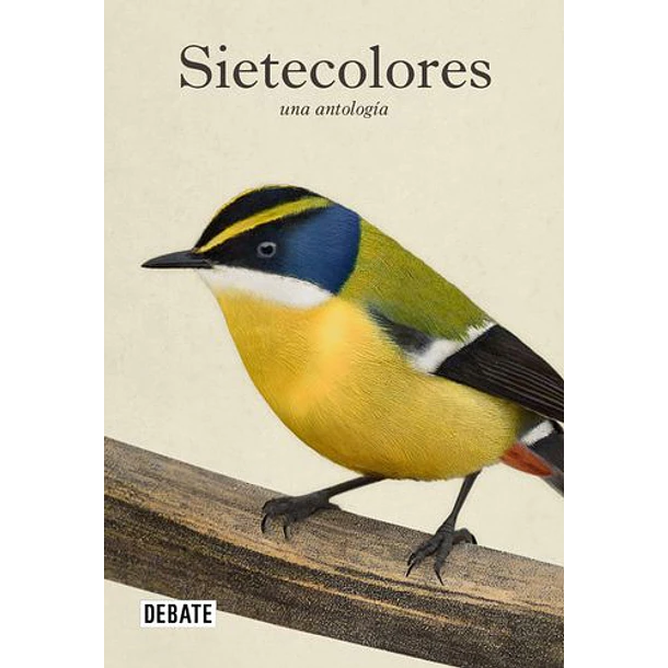 Sietecolores: Una Antologia [Div