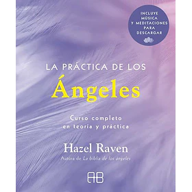 La Practica De Los Angeles: Curso Completo En Teoria Y Practica 