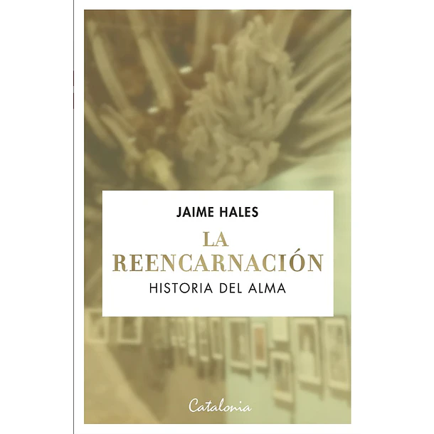 La Reencarnacion Historia Del Alma