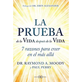 La Prueba De La Vida Despues De La Vida