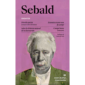 Ensayos De Sebald