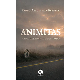 Animitas: Nada Desaparece Del Todo