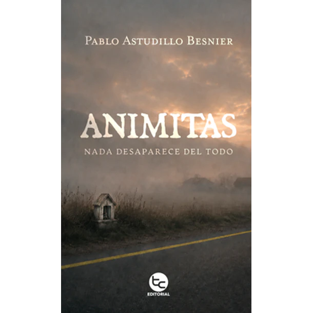 Animitas: Nada Desaparece Del Todo