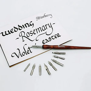 Set De Pluma Estilográfica De Caligrafía Con 9 Plumillas