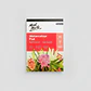 Bloc Papel Para Acuarela Mont Marte A5 300 G/m2 12 Hojas - Miniatura 9