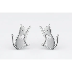 Pendientes de Acero Inoxidable 