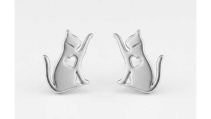 Pendientes de Acero Inoxidable 