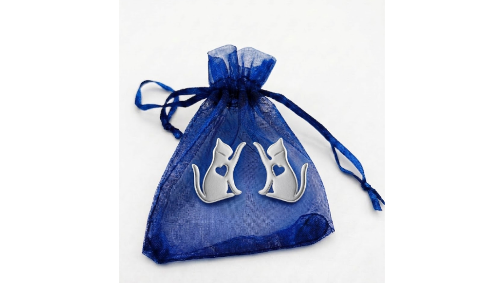 Pendientes de Acero Inoxidable 