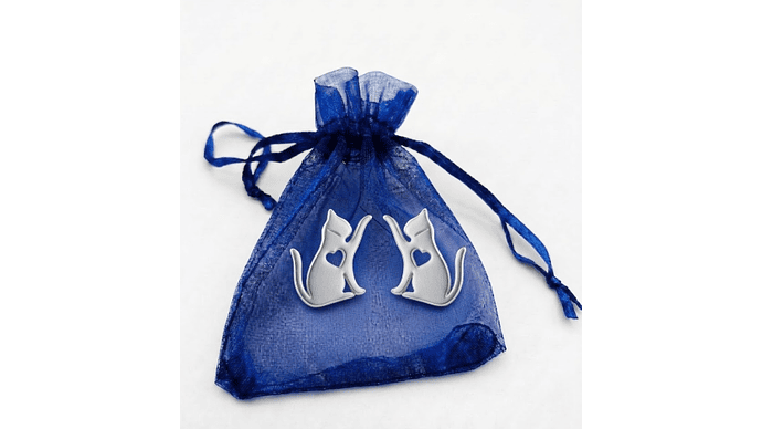 Pendientes de Acero Inoxidable 