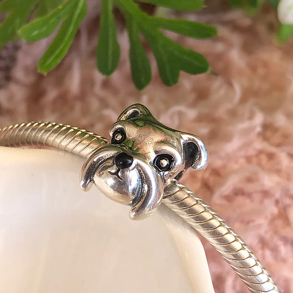 Charm Schnauzer carita Plata 925 1