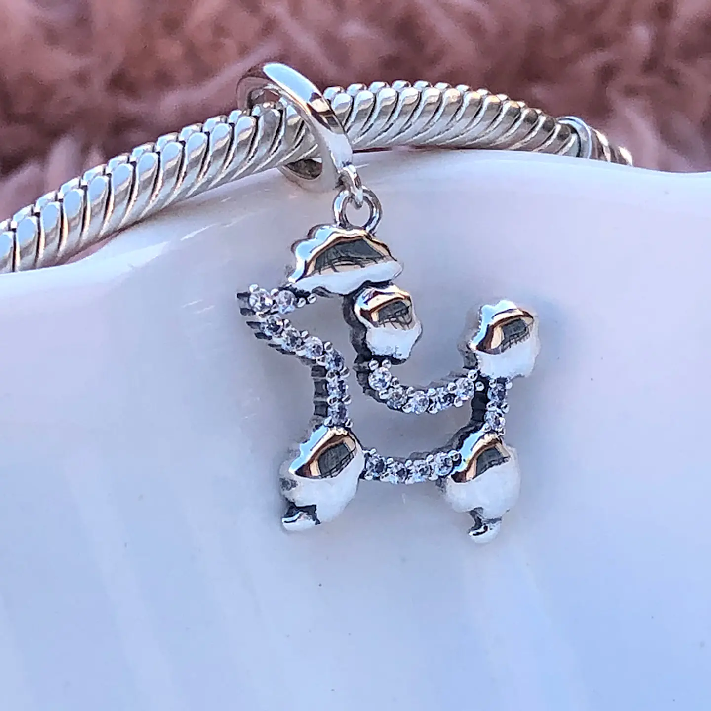 Cham Poodle peinado, Plata 925 2