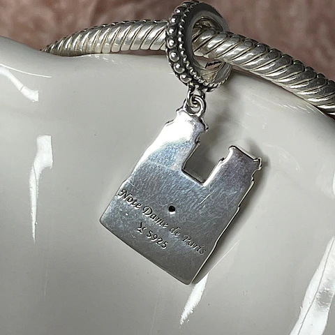 Charm Catedral Notre Dame Paris Plata 925