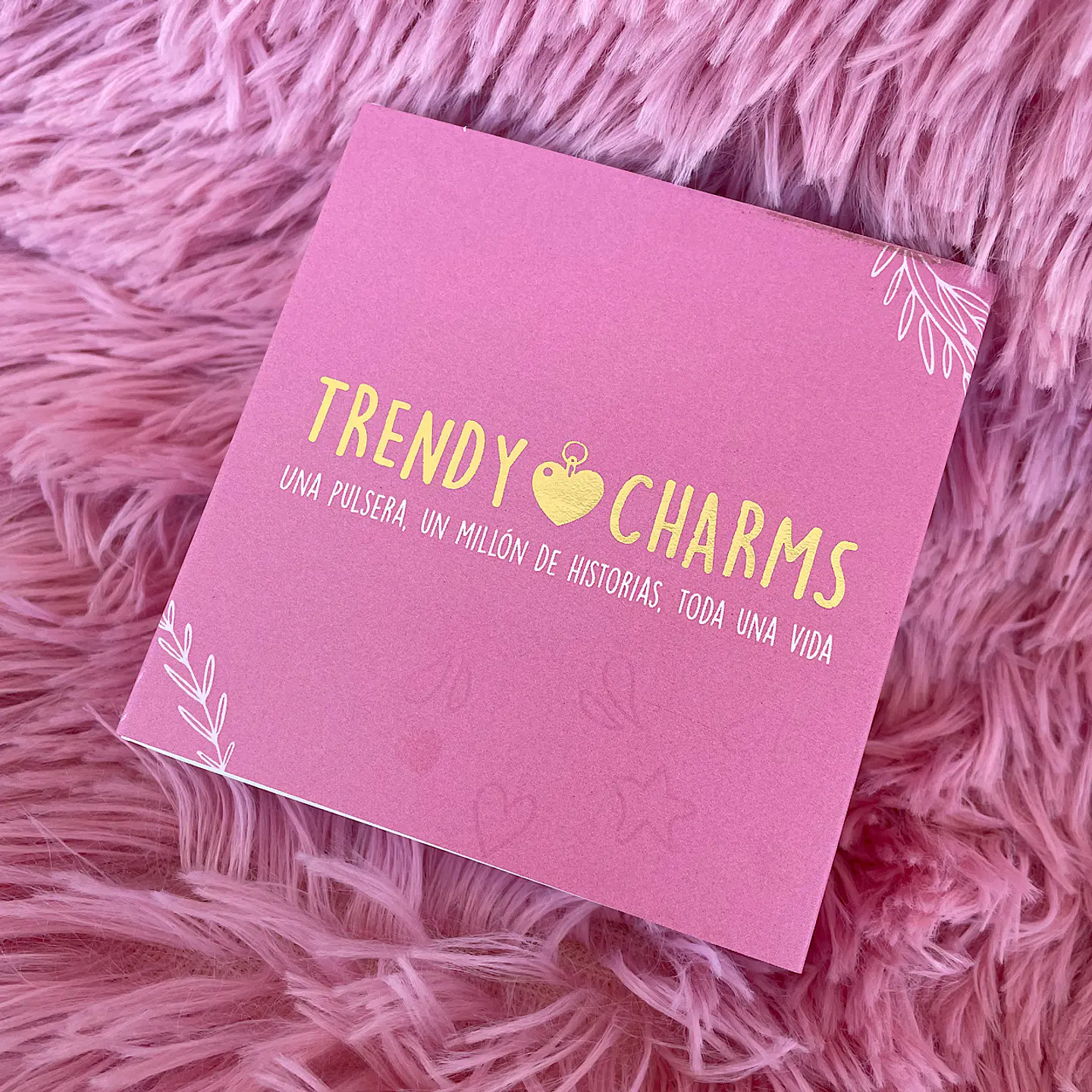 Caja Trendycharms 1