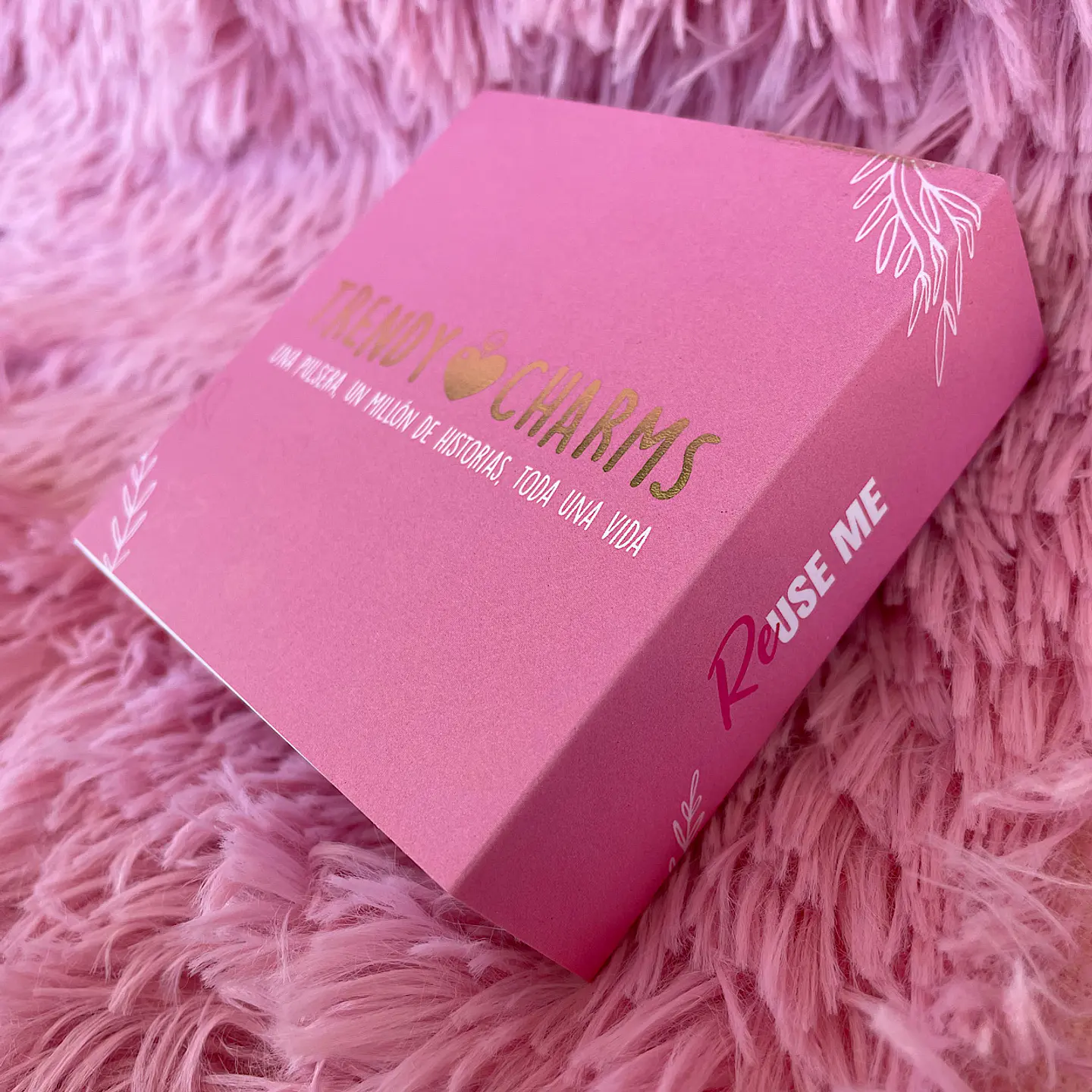Caja Trendycharms 2