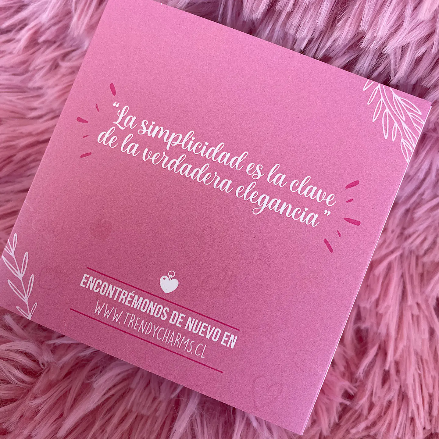 Caja Trendycharms 3