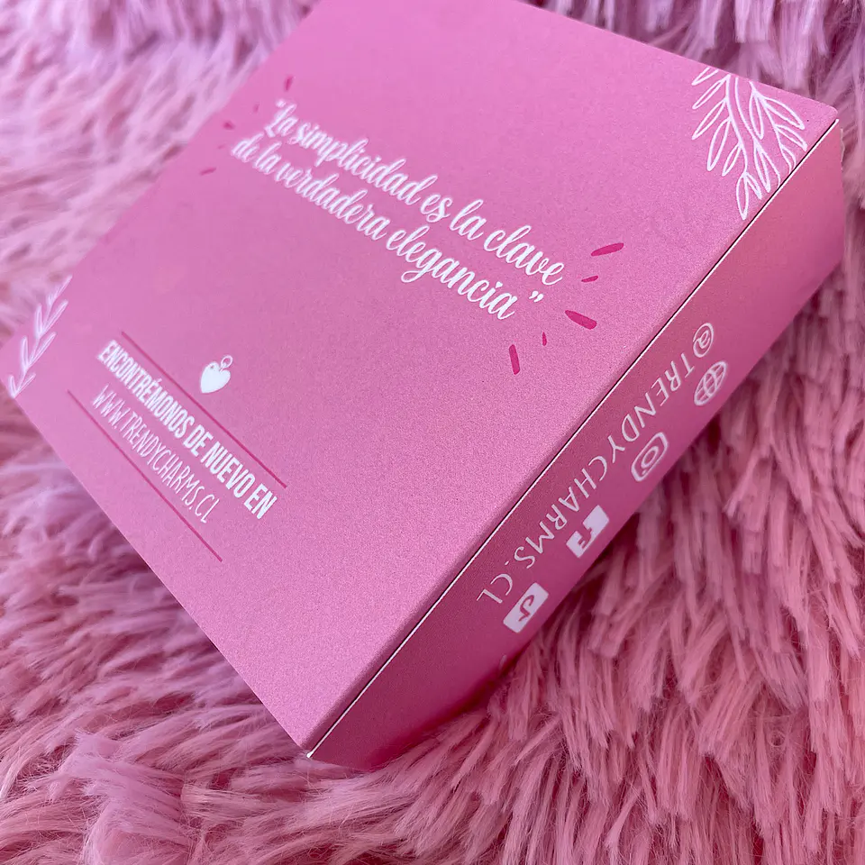 Caja Trendycharms 4