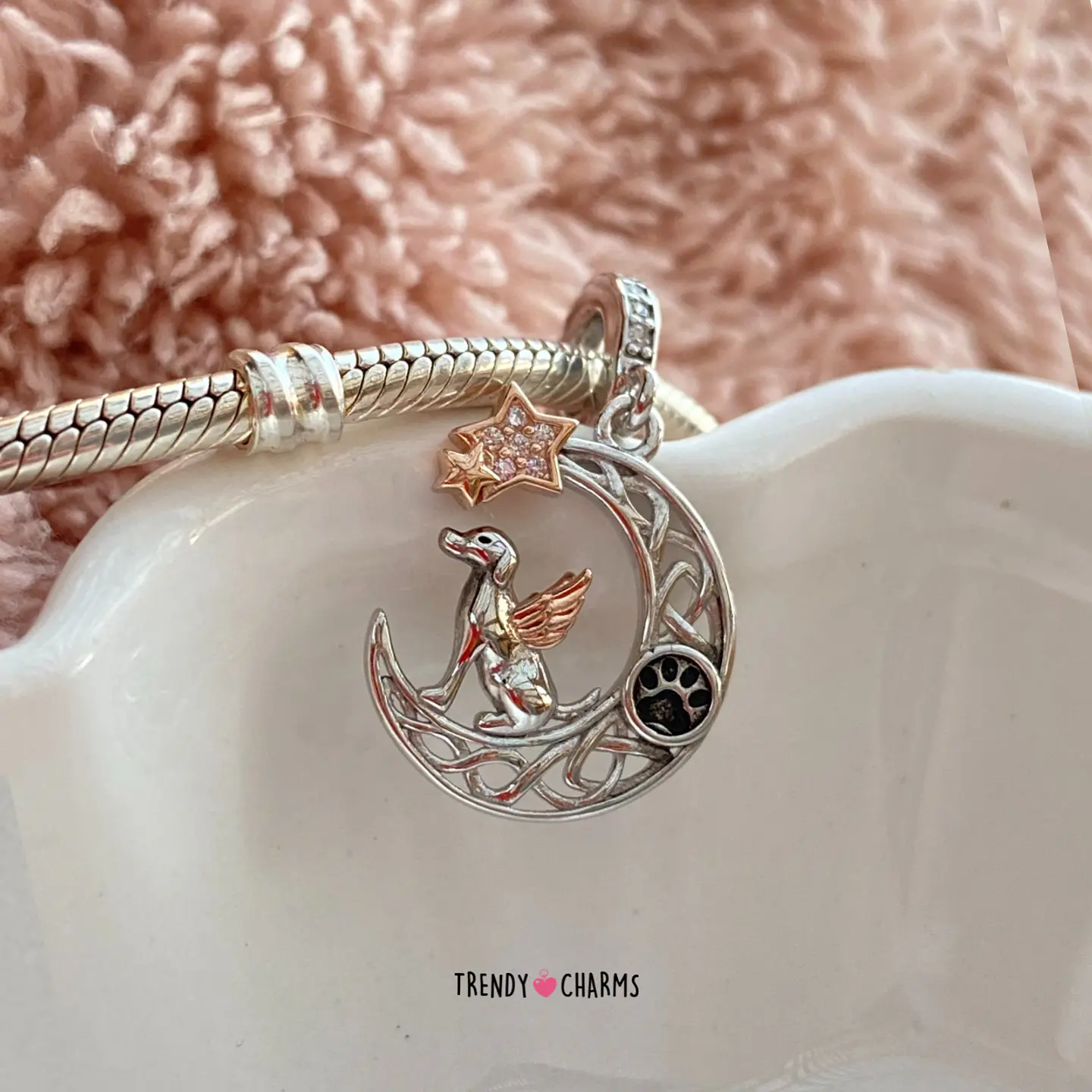 Charm Perrito mi Ángel Plata 925 1