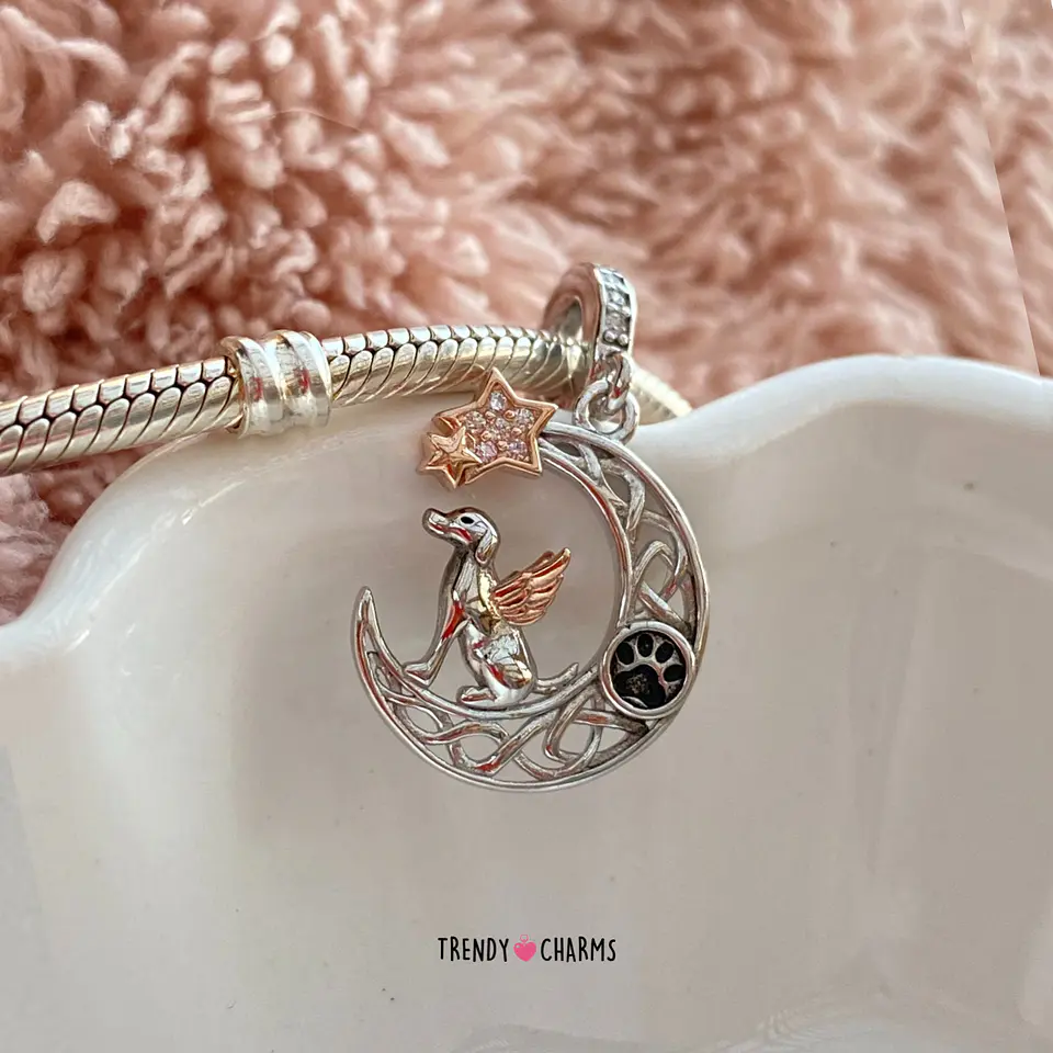 Charm Perrito mi Ángel Plata 925 1