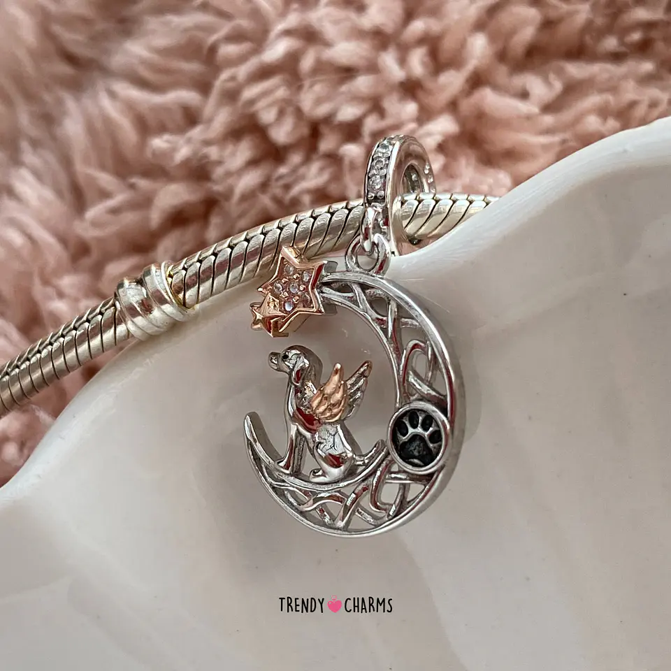 Charm Perrito mi Ángel Plata 925 4